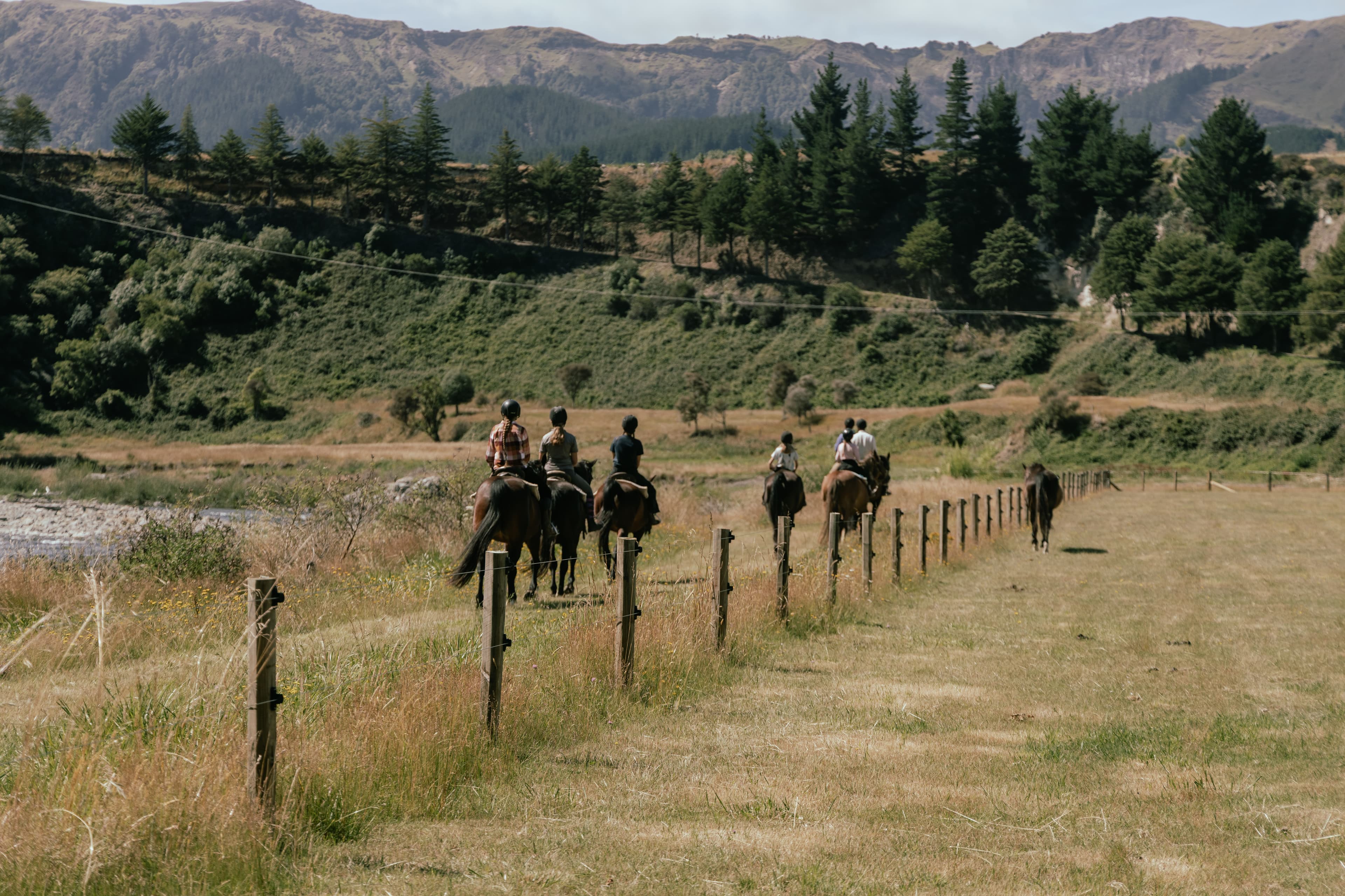 Horse trekking alongside the Mohaka River in Hawke's Bay Nz