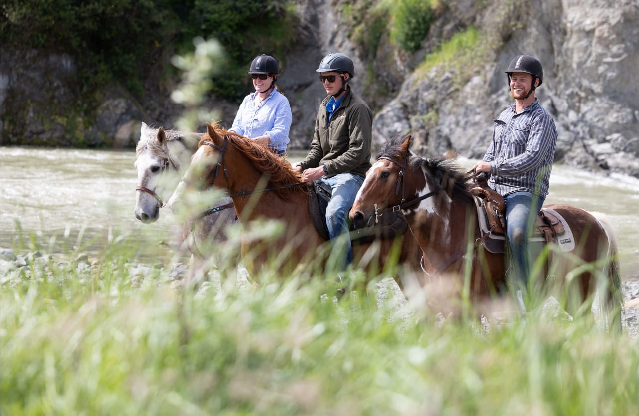Horse trek for beginners