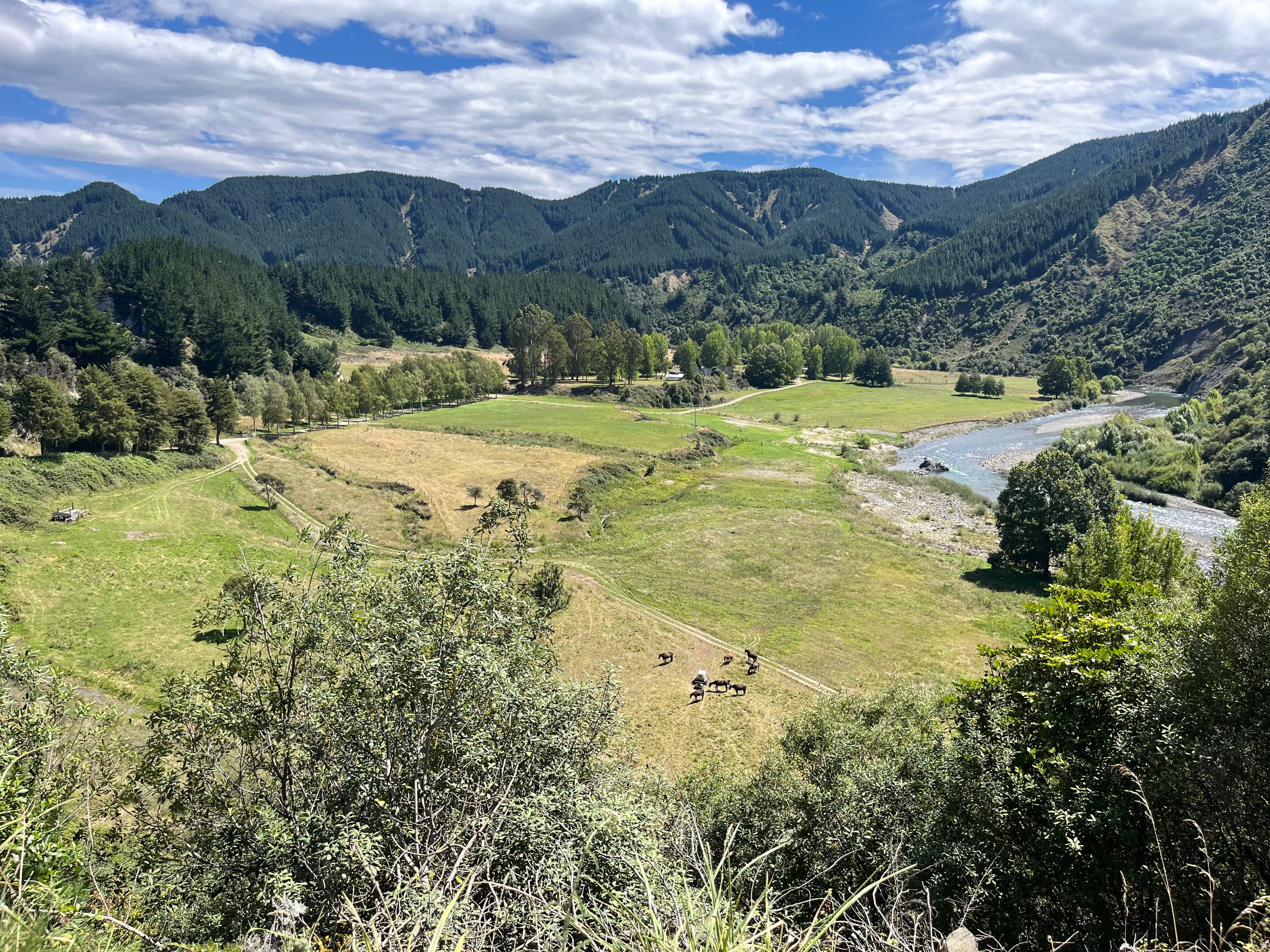 Mohaka River Farm view of the beautiful property which hosts amazing premium experiences
